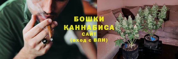 метадон Вяземский